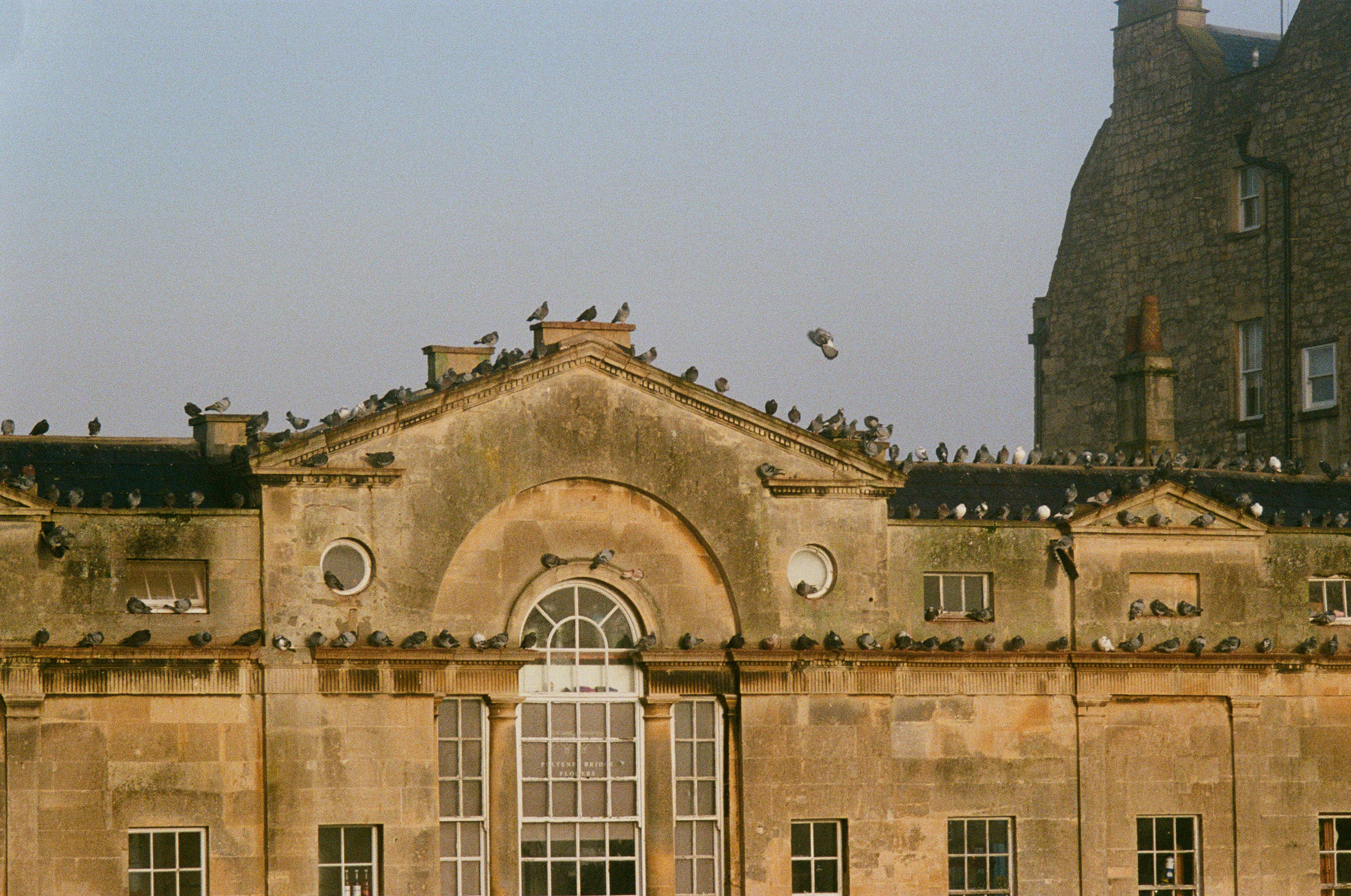 One caption for a 2×2 grid slide.